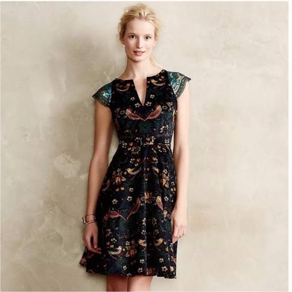 Anthropologie Dresses & Skirts - Anthropologie | Eva Franco Larksong Dress, Size 8, Like New and Hard to Find!